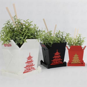 3D Printed planter Chinese Takeout box - Set of 3 with FREE Trays and Chopsticks - plant pot with drainage decor, oyster pail planters plant