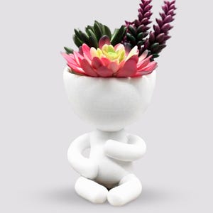 May include: White ceramic planter shaped like a person sitting with legs crossed, holding a pink and green succulent plant.