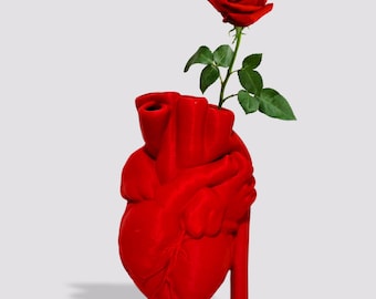 3D Printed Human Heart Vase: Anatomical Desk Planter