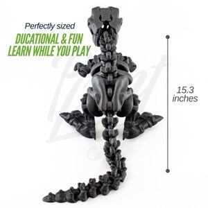 May include: A black plastic dinosaur skeleton model, standing on a white surface. The dinosaur is 15.3 inches tall. The text "DUCATIONAL & FUN LEARN WHILE YOU PLAY" is visible in the image.