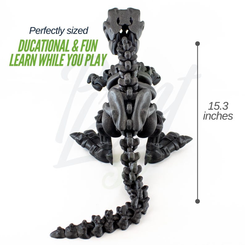 May include: A black plastic dinosaur skeleton model, standing on a white surface. The dinosaur is 15.3 inches tall. The text "DUCATIONAL & FUN LEARN WHILE YOU PLAY" is visible in the image.