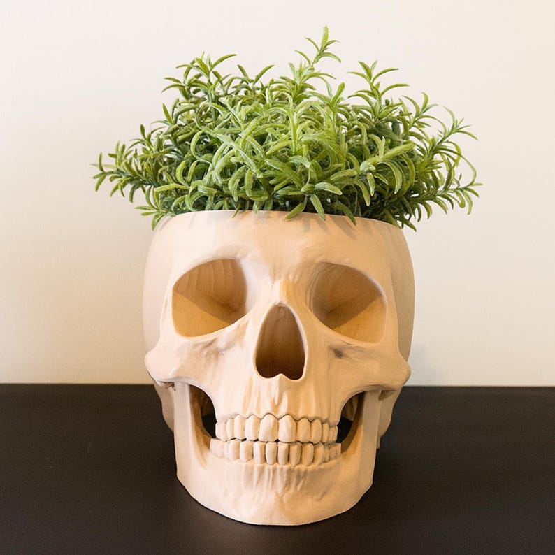 Peut inclure: Un pot de fleurs en forme de cr&acirc;ne beige rempli de plantes vertes &agrave; feuilles. Le pot pr&eacute;sente des traits faciaux d&eacute;taill&eacute;s, notamment des orbites, une cavit&eacute; nasale et des dents. Le feuillage vert de la plante contraste avec le pot clair.