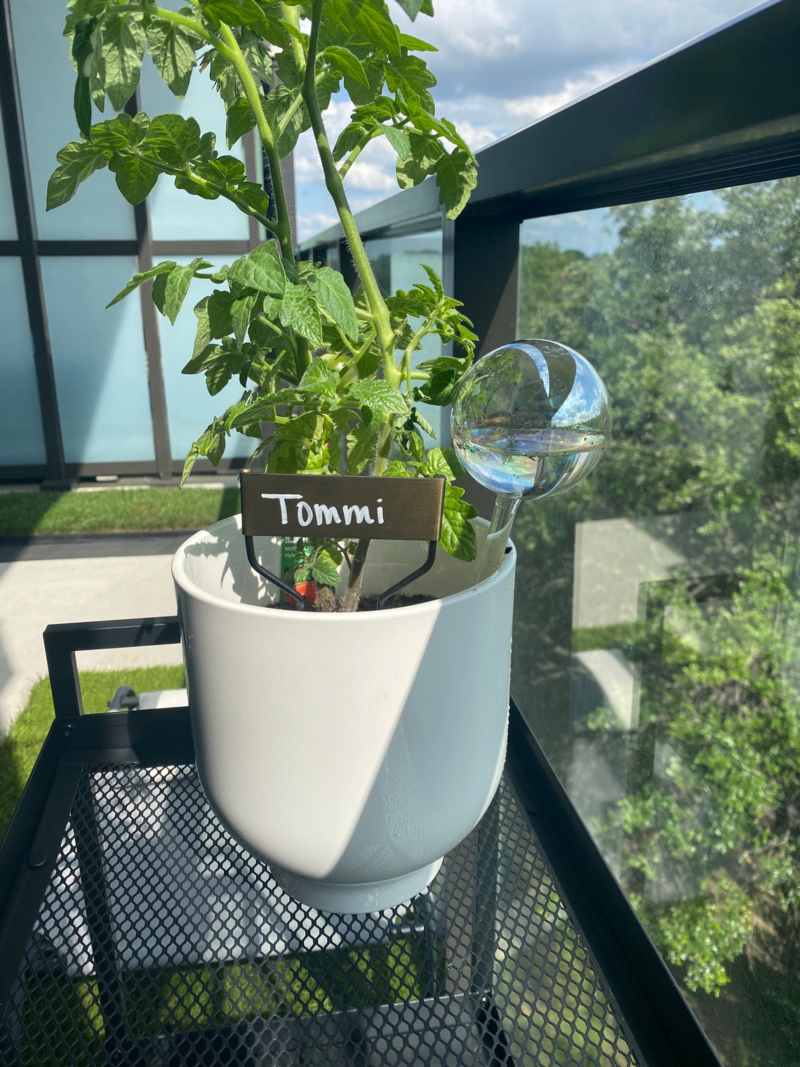 2pc Iridescent Selfwatering Globe Automatic Watering Bulb Etsy