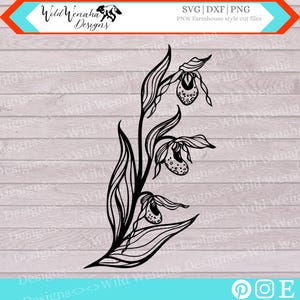 Lady Slipper Svg - Lady Slipper Png - Orchid Flower Png - Floral Svg - Orchid - botanical clipart - instant download
