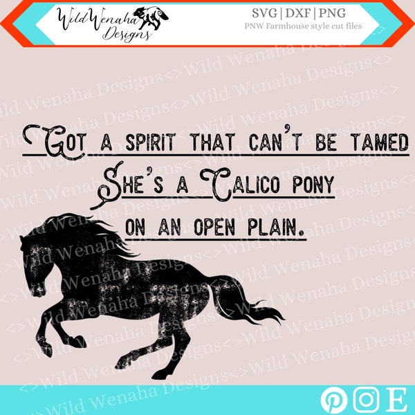 Country Music Svg - Pony Png - horse Svg - She's a calico pony on an open plain svg/png/dxf - instant download