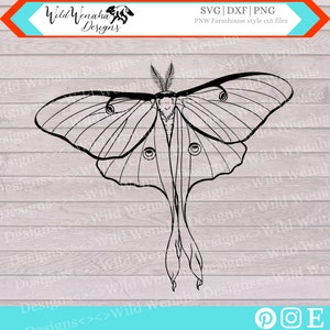 May include: Black and white line art illustration of a luna moth with a detailed design. The moth is shown with its wings spread wide and its long antennae. The image is set against a wood grain background.