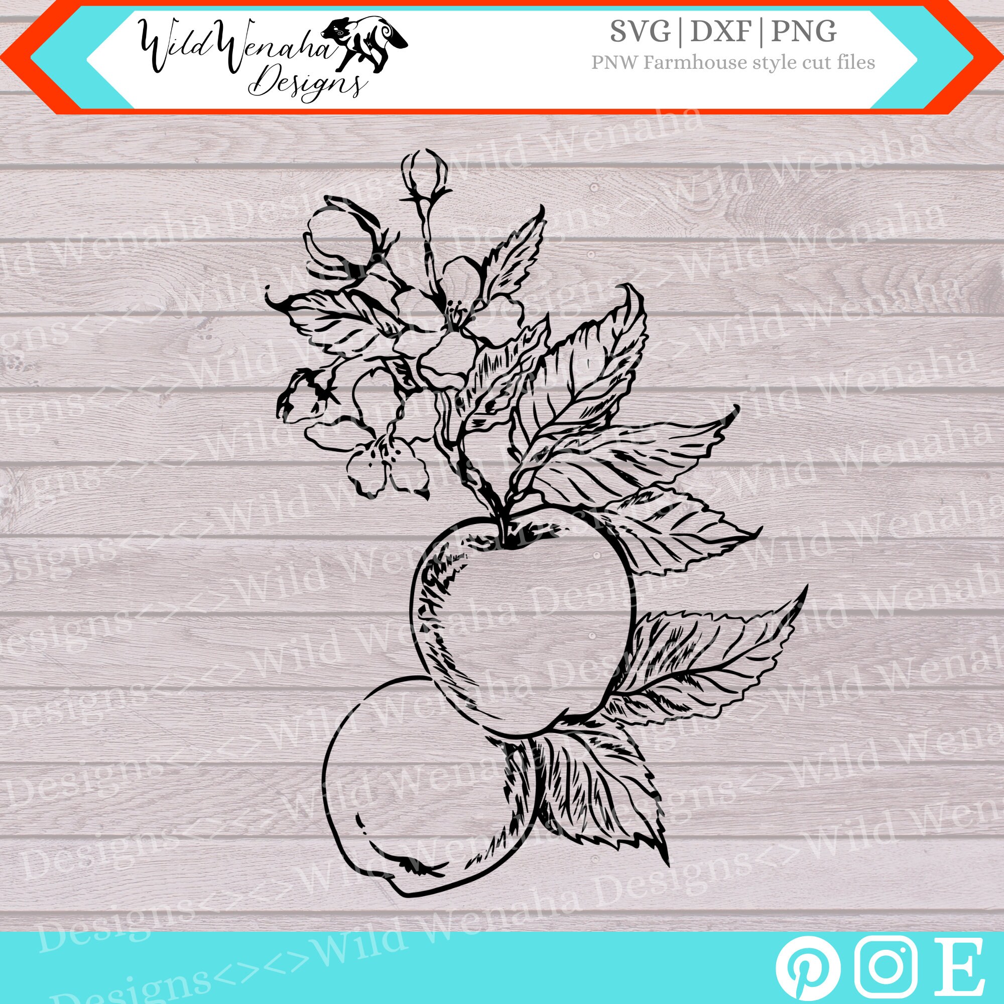 Vintage Apple Vector Svg - Apple Png - Botanical and Botany Apple