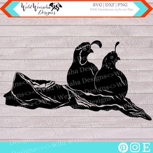 Quail SVG - PNG - DXF - California Quail - Clipart - Quail Design -Cute Western art- Instant Download