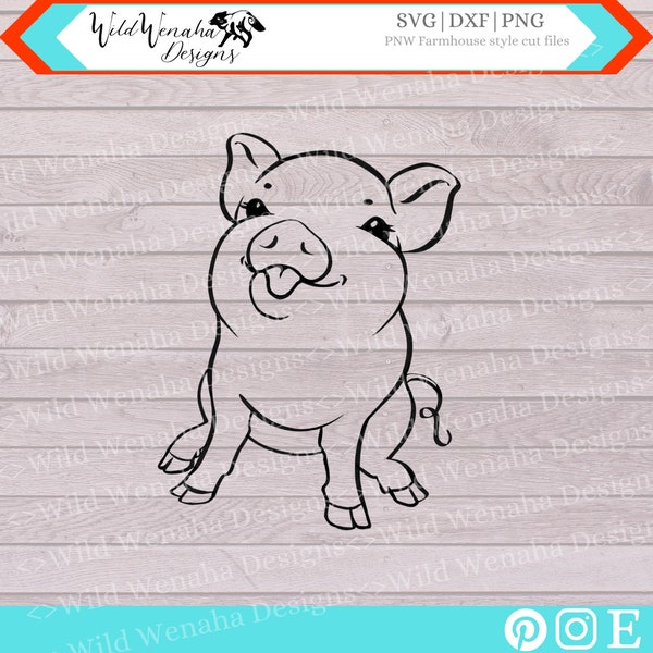 Pot Belly Pig SVG - Silly pot belly pig - Pig Svg - Pig Png -Pig Dxf - Pig Clipart - instant download - Farm Animal Clipart