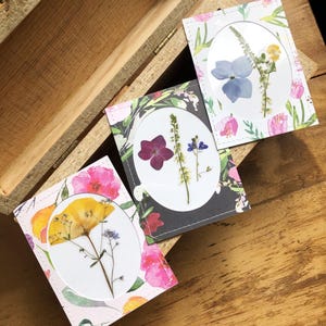 vraie carte de fleurs pressées