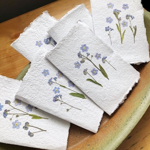 lot de 2 vraies cartes myosotis pressées