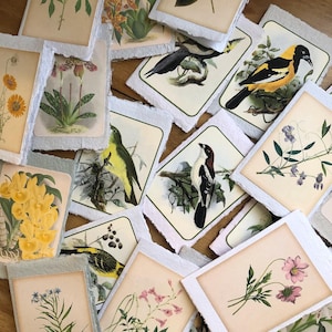 Set of 4 mini cards