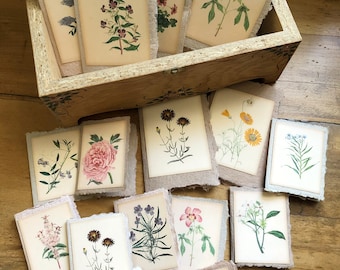 Jeux de mini-cartes