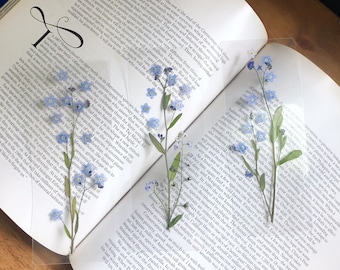 Real forget me nots laminated bookmarks