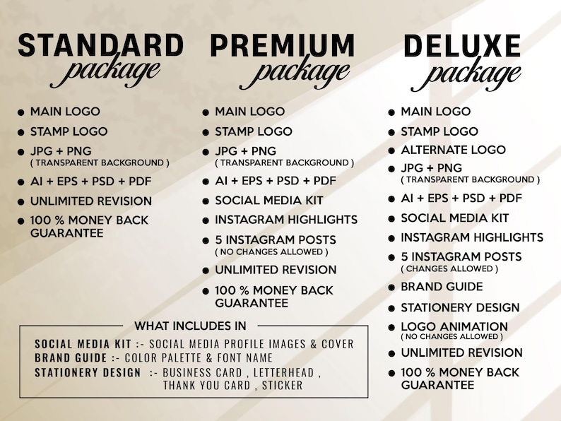 May include: A graphic chart detailing three service tiers: Standard, Premium, and Deluxe packages. Each column lists specific deliverables like main logo, stamp logo, file formats, social media kits, and revision policies, with a summary box below.