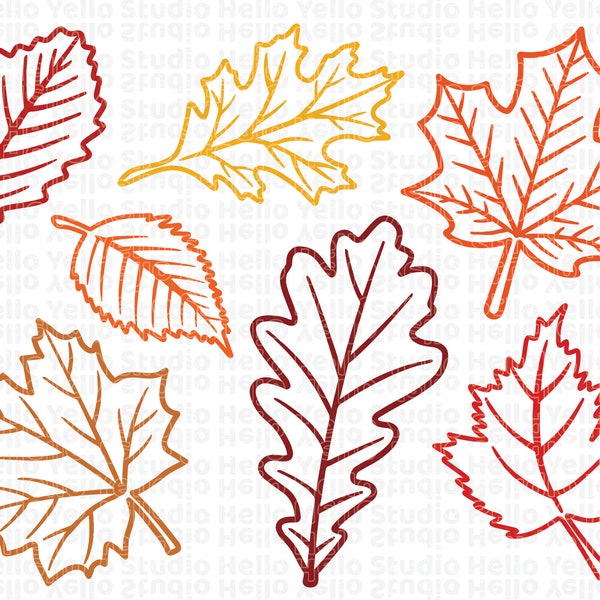 Fall Leaves Svg, Fall svg, Fall leaf svg bundle, Fall png, dxf, clipart, Cut files for Cricut, Glowforge files, Silhouette, Halloween svg