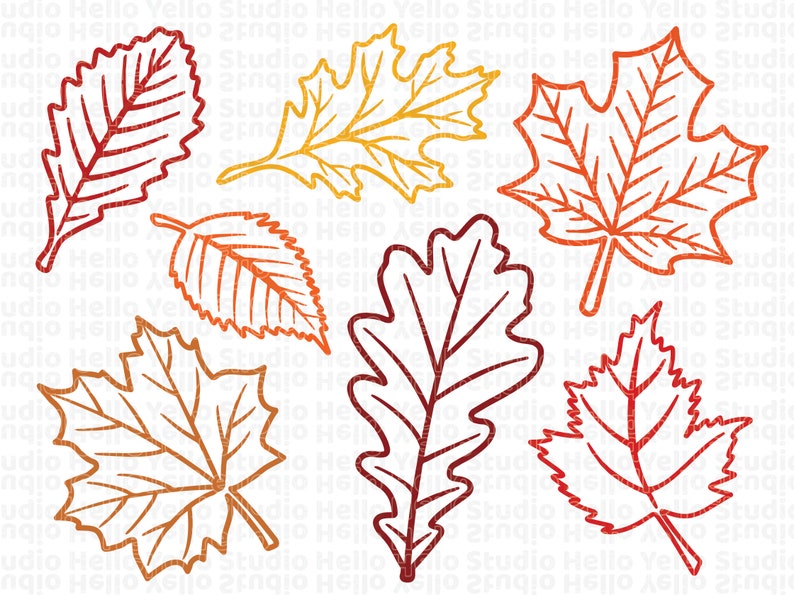 Fall Leaves Svg, Fall svg, Fall leaf svg bundle, Fall png, dxf, clipart, Cut files for Cricut, Glowforge files, Silhouette, Halloween svg image 1