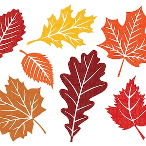 Caduta foglie in formato Svg, caduta in formato SVG, caduta foglia in formato SVG bundle, caduta PNG, DXF, clipart, file di taglio per Cricut, file Glowforge, Silhouette, Halloween in formato SVG