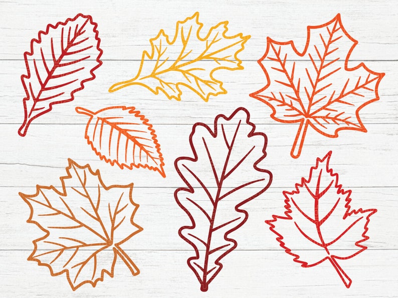 Fall Leaves Svg, Fall svg, Fall leaf svg bundle, Fall png, dxf, clipart, Cut files for Cricut, Glowforge files, Silhouette, Halloween svg image 2