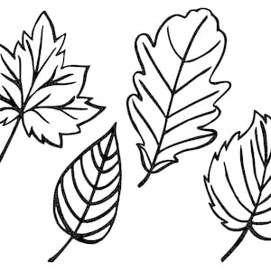Foglie autunnali Svg, Autunno svg, Foglie autunnali svg, Bundle di foglie autunnali svg, Autunno png, dxf, clipart, File di taglio per Cricut, Silhouette, Halloween svg