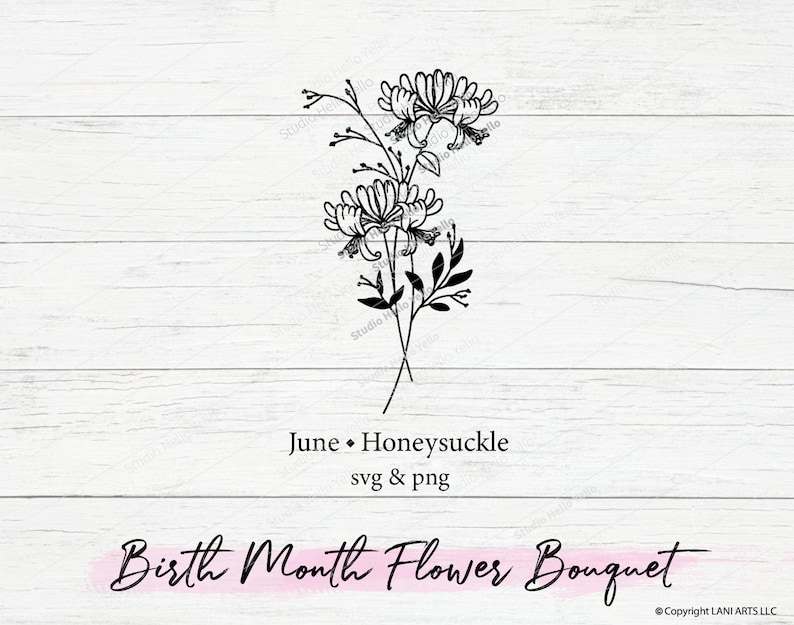 May include: Black and white line art illustration of honeysuckle flowers. The text "June Honeysuckle svg & png Birth Month Flower Bouquet" is below the image.