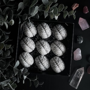 Bleeding Brain Wax Melts | spooky - gothic inspired - horror - winter, spring, summer, fall scents - highly scented wax melts