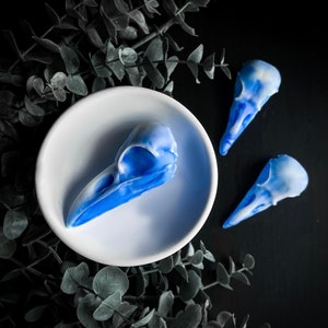Raven Skull Wax Melts | spooky, gothic inspired - halloween - horror - autumn - fall - highly scented wax melts - gift idea