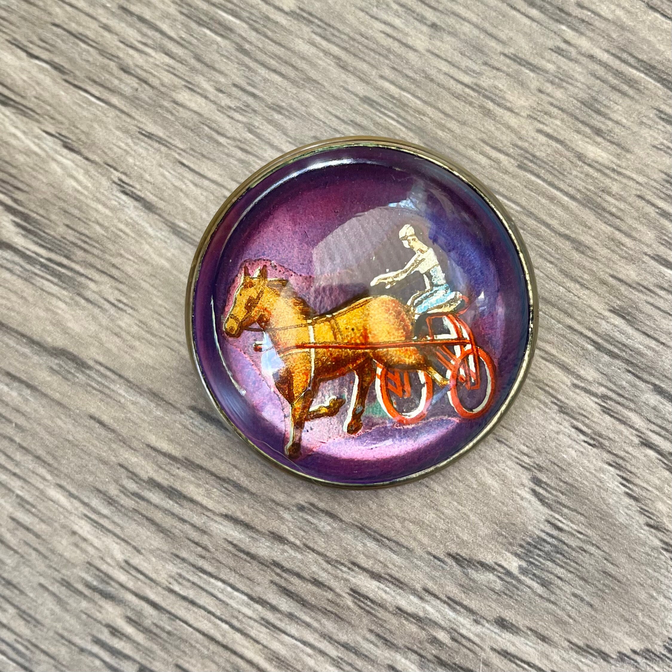 Antique Bridle Rosette Harness Racing Glass Dome Horse Brooch, Equestrian