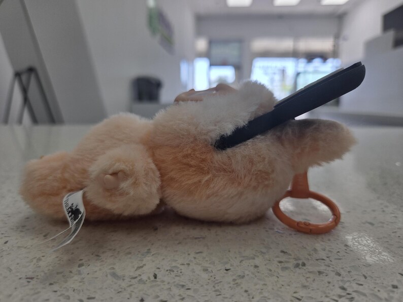 May include: A plush, light brown teddy bear with a black rectangular object resting on its head. The bear has a small orange ring attached. A white tag with black text is attached to the bear's body.