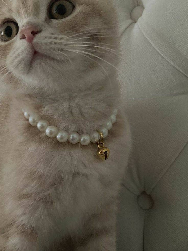 Elegant Handmade Pearl Cat Collar With Selection of Pendants Etsy