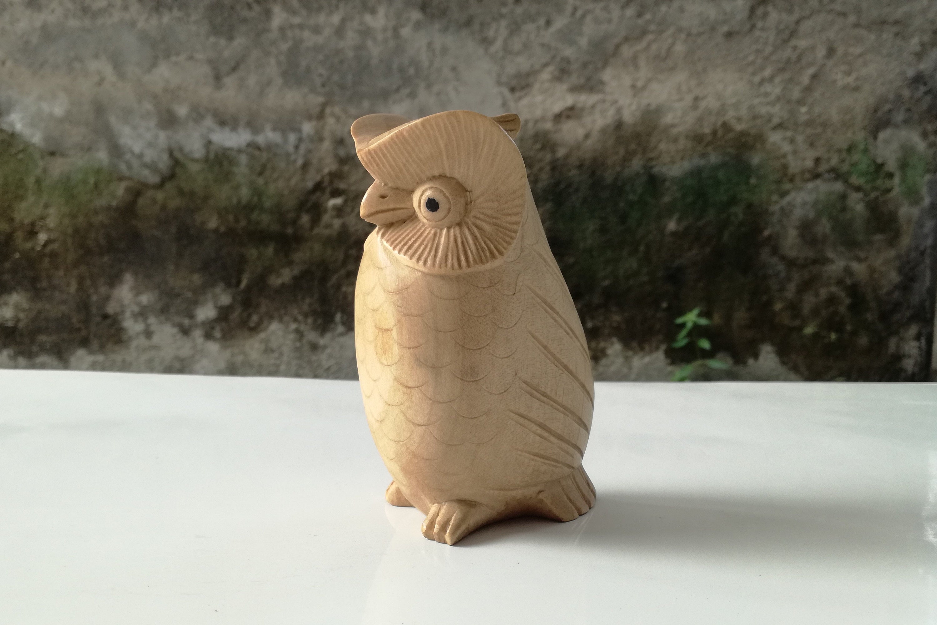 Hand Carved Suar Wood Owl Sculpture