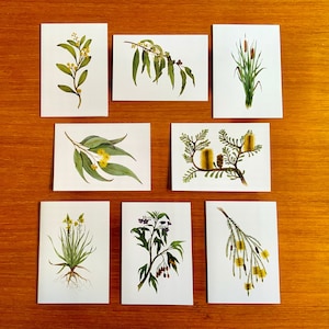 Watercolour Greeting Cards Set of 8