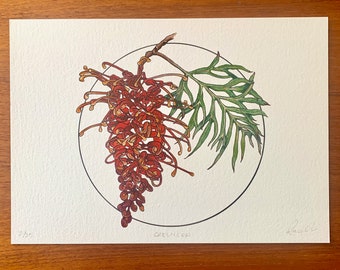 Grevillea, 2022 Giclée Print