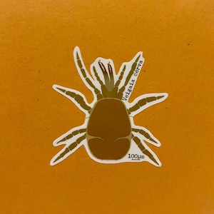 Puede incluir: Una pegatina con un insecto marrón con múltiples patas y el texto "Veigaia cerva". La pegatina tiene un borde blanco e incluye la medida "100µm".