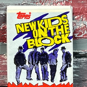 Vintage NEW KIDS ON THE BLOCK Thermos Lunch Box 1991