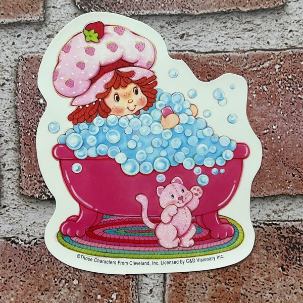 Vintage Brand New Strawberry Shortcake Sticker