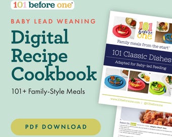 101 Baby-friendly Family Dinner Recipes for Baby Led Weaning from 101 before one