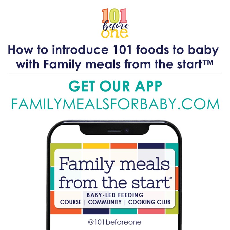 101 Food Checklist PDF Download for Baby Led Weaning from 101 before one image 2