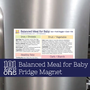 Baby Led Weaning Balanced Meal for Baby Fridge Magnet from 101 before one