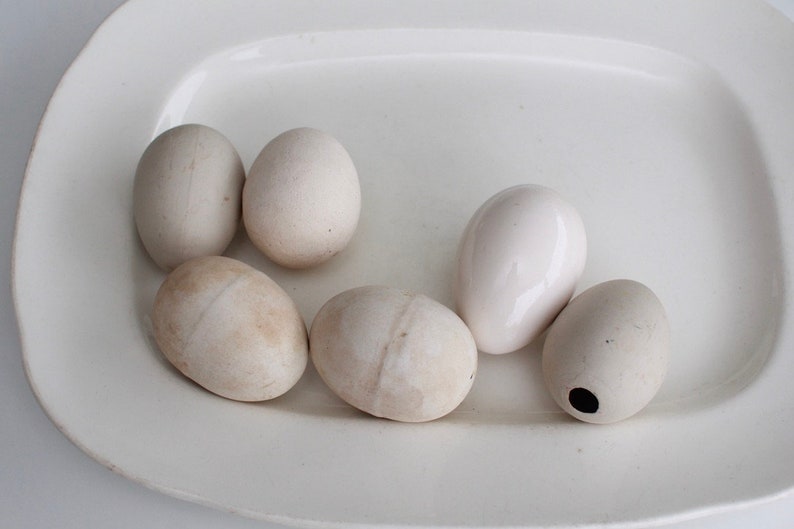 Set of 6 Antique Ironstone Decoy Eggsantique Dummy Egg , Vintage