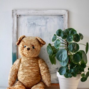 Peut inclure: Un ours en peluche vintage brun et moelleux est assis devant un cadre peint en blanc et une plante verte en pot. L'ours a des yeux noirs en forme de boutons et un nez noir.