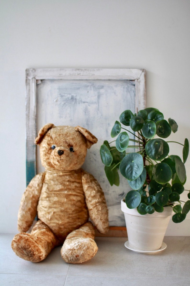 Peut inclure: Un ours en peluche vintage brun et moelleux est assis devant un cadre peint en blanc et une plante verte en pot. L'ours a des yeux noirs en forme de boutons et un nez noir.