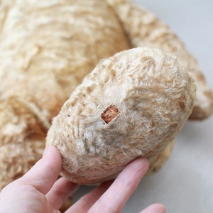 Peut inclure: Un ours en peluche vintage de couleur cr&egrave;me avec un morceau de tissu us&eacute; sur sa patte. La fourrure de l'ours est moelleuse et a un aspect d&eacute;lav&eacute;.
