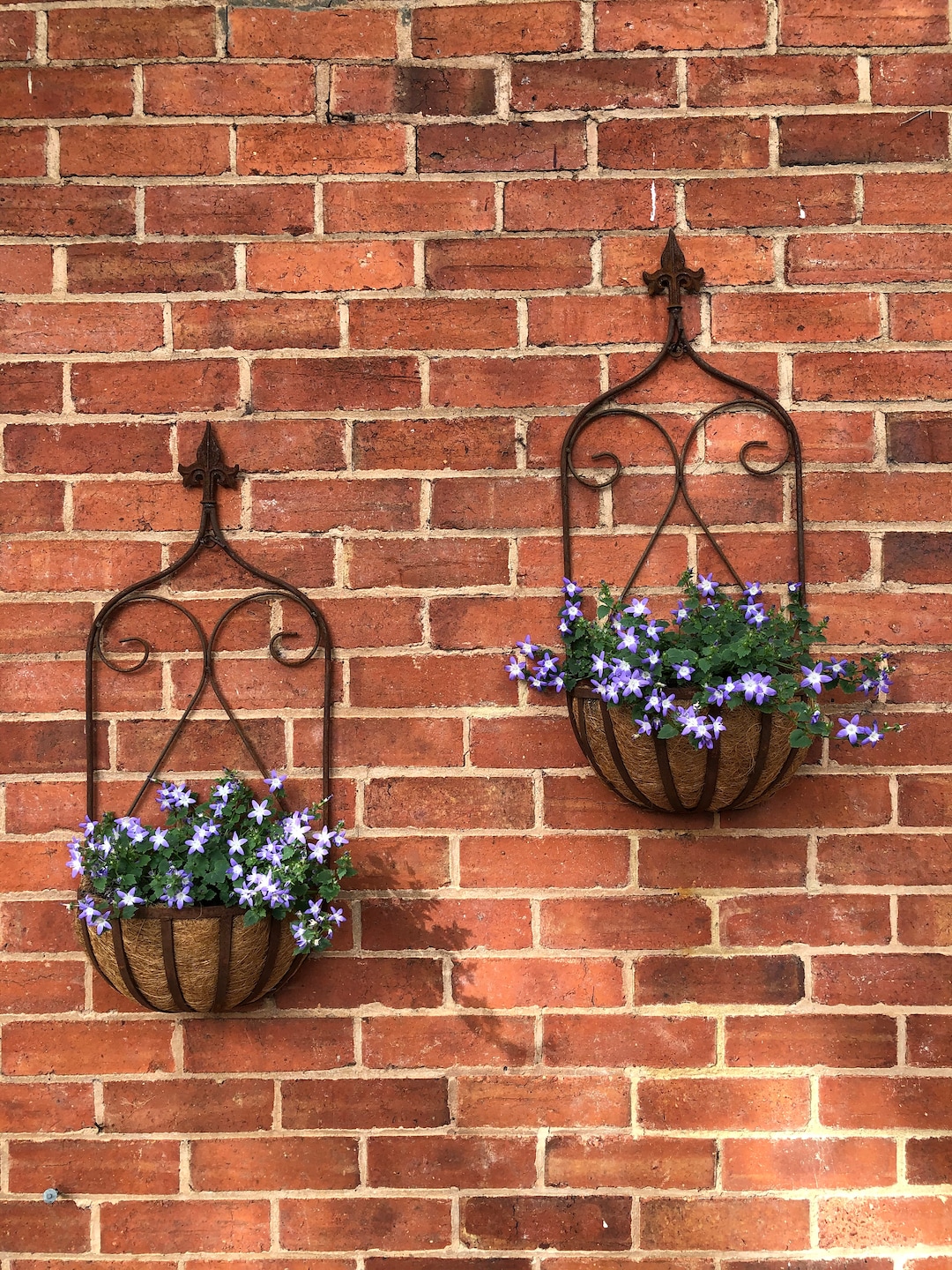 Rustic Wrought Iron Wall Planters With Fleur-de-lis Detail provincial