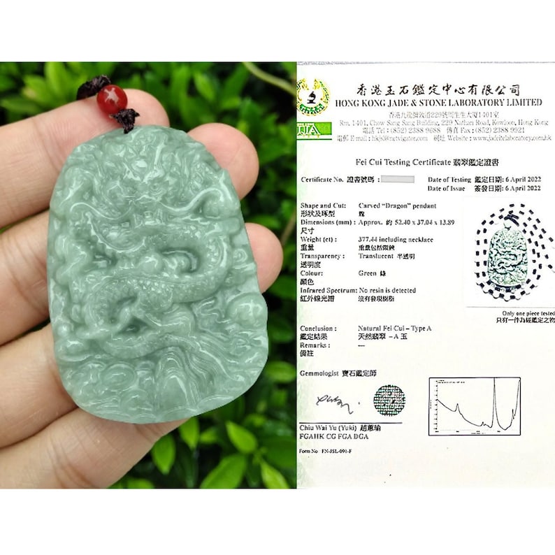 Jade dragon pendant with laboratory certificate from Hong Kong