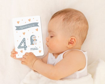 Pastel baby animal step cards