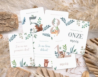 Cartões de marco do nascimento do bebê, animais da floresta em aquarela