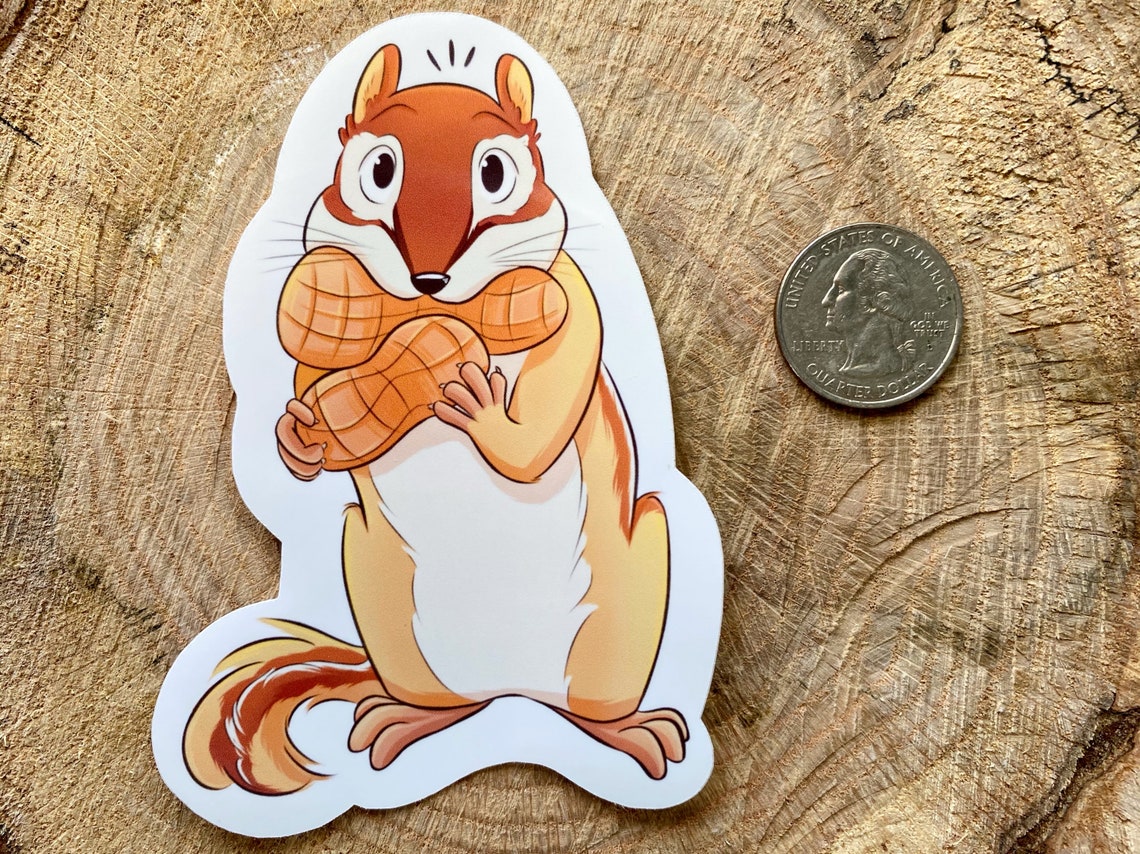 Chipmunk Vinyl Sticker Chipmunk Cute Animal Sticker Etsy