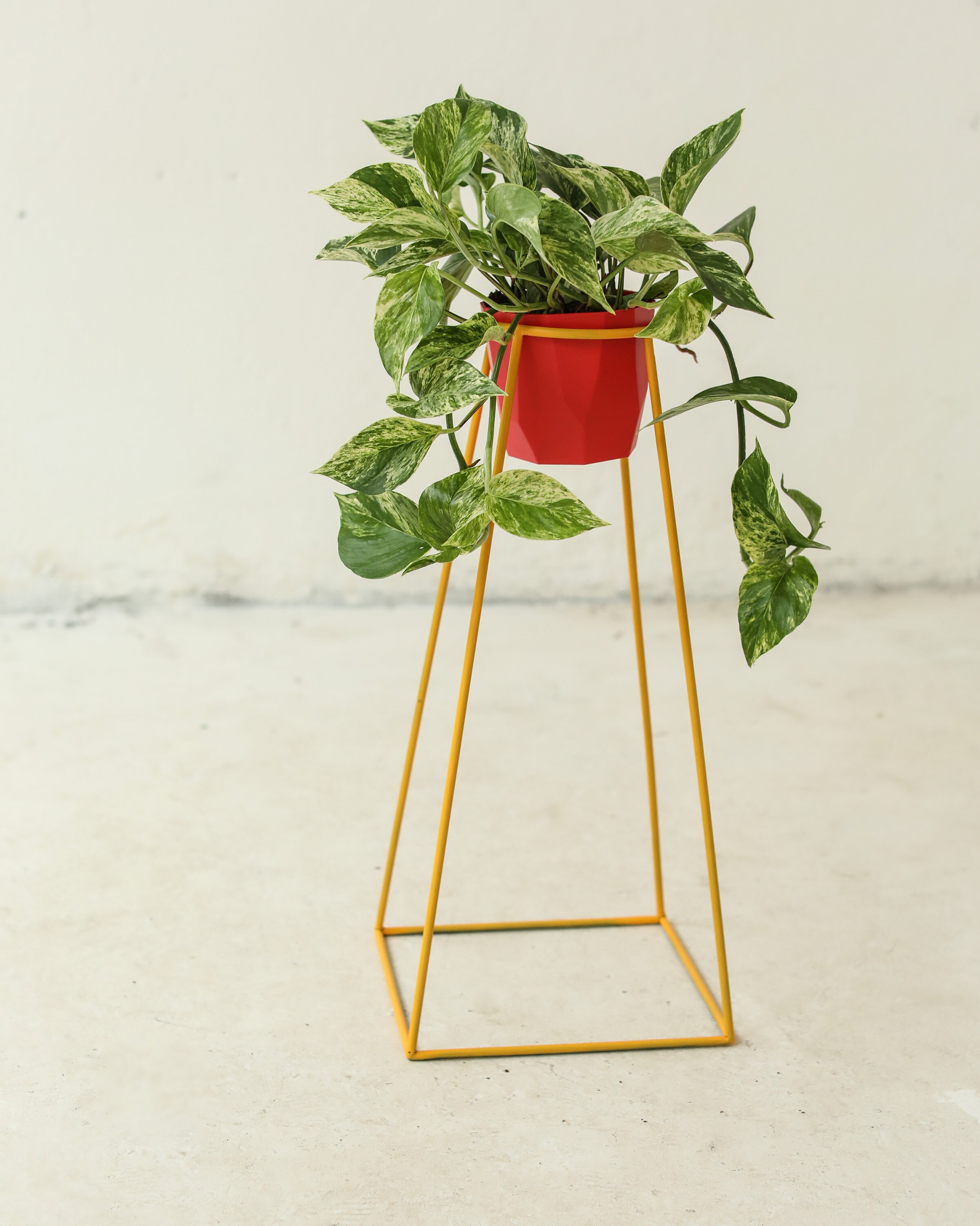 Plant stands Etsy