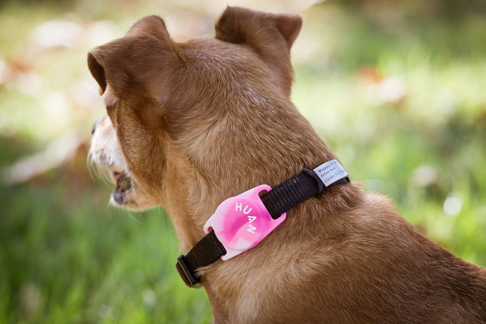 amazon air tag holder amazon air tag holder